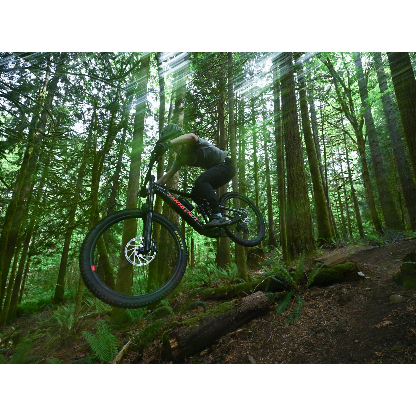 Santa Cruz Vala AL 70 2026