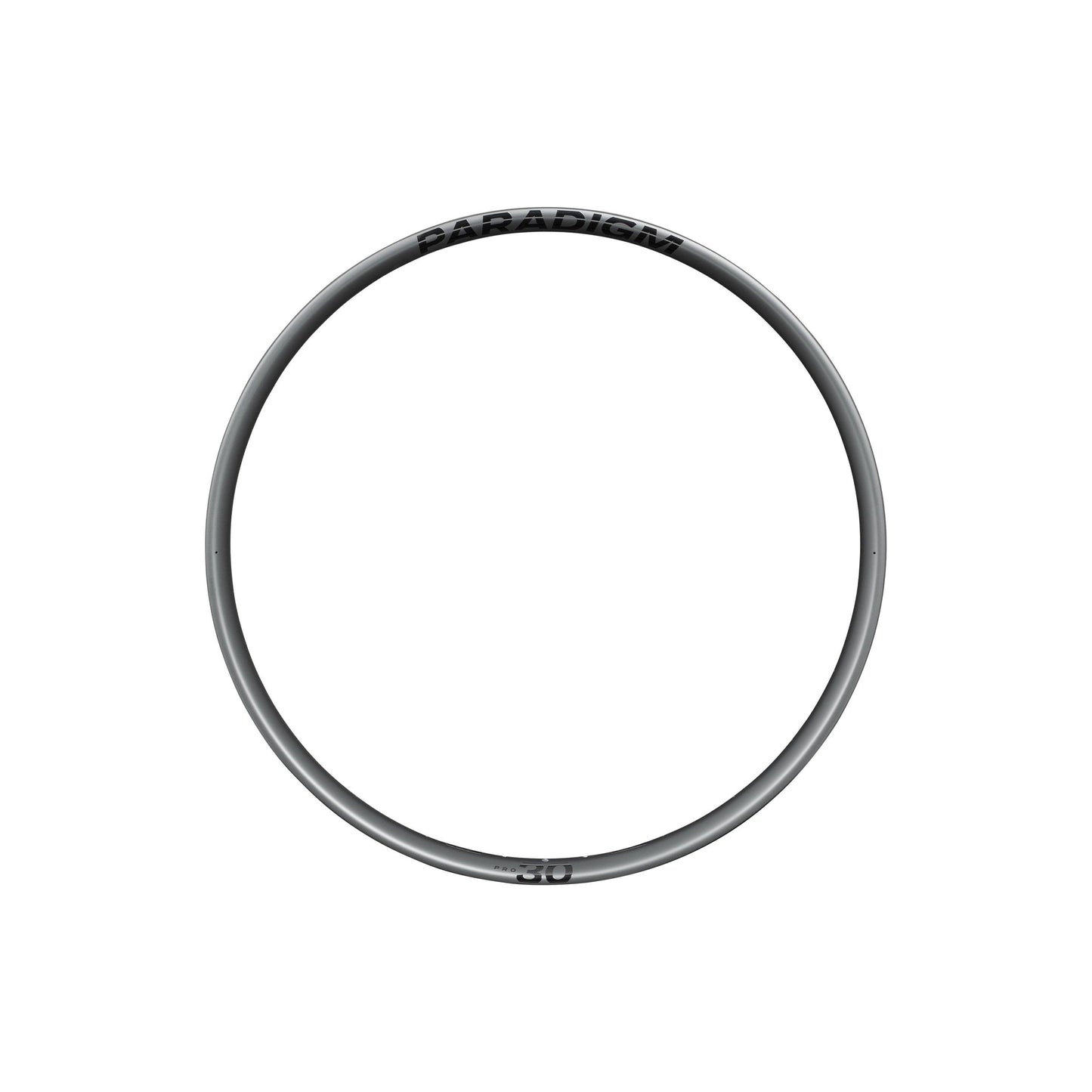 Bontrager Paradigm Pro 30 Rim – P&A from Fife Cycles
