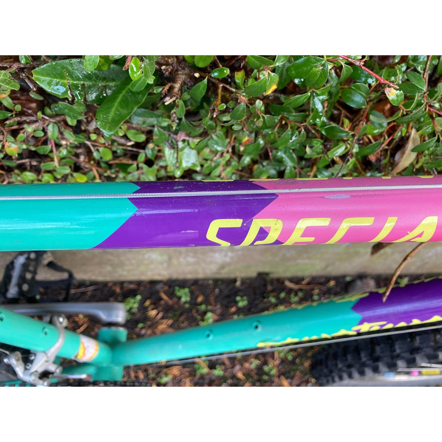 SPECIALIZED STUMPJUMPER 1989 (18.5")