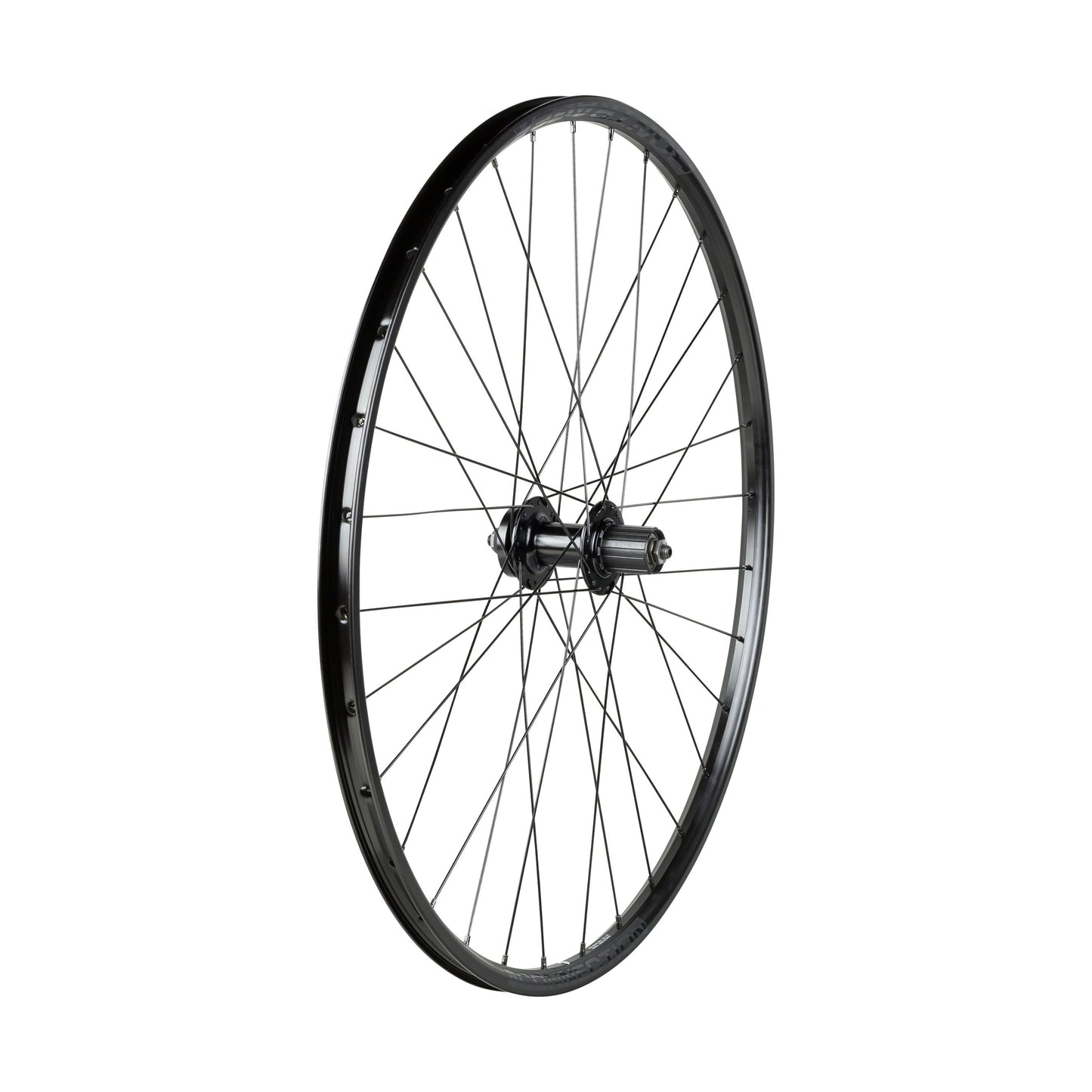 Bontrager Connection Schrader 6-Bolt Disc 29"" MTB Wheel