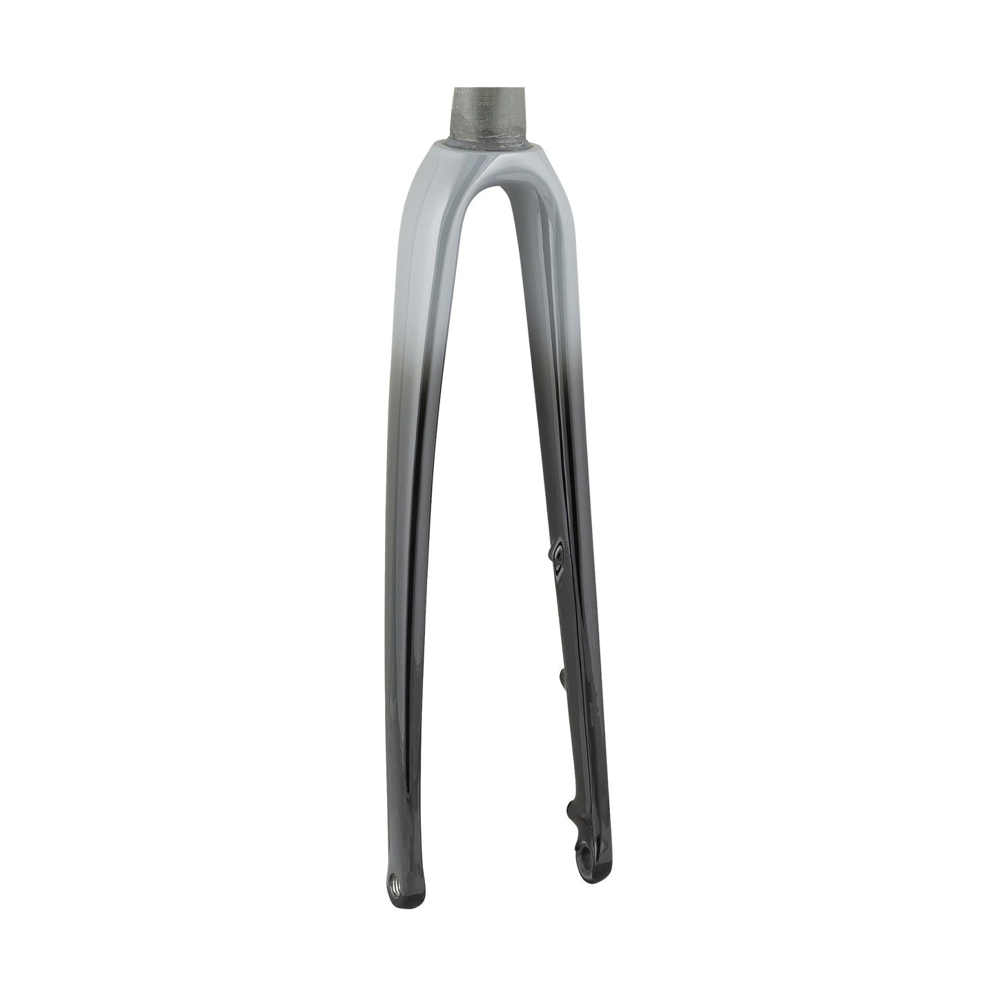 Trek Émonda ALR 5 700c Fork