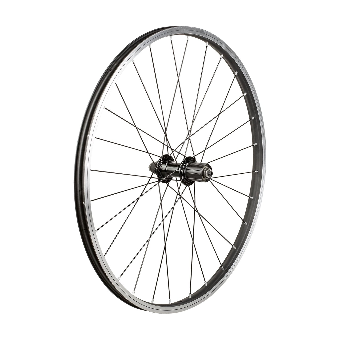 Trek Kids' 28 Hole 24"" Wheel