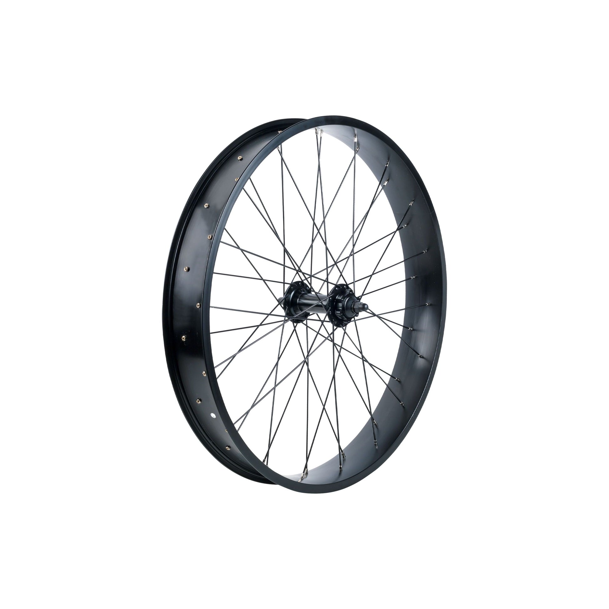 Electra Lux Fat 26˝ Wheel – P&A from Fife Cycles