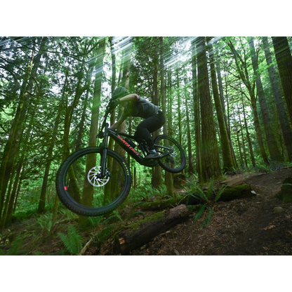 Santa Cruz Vala AL 70 2026