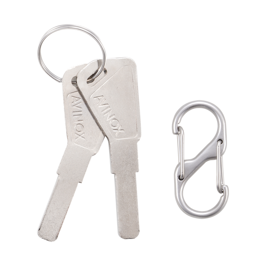 Avinox Battery Lock Key