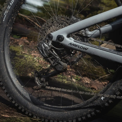 Amflow PR Pro Carbon 2027