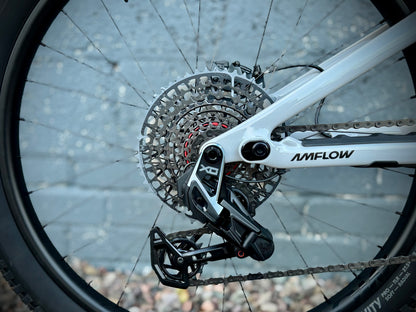 Amflow PX Pro Carbon EMTB 2026