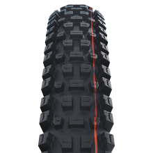 Schwalbe Albert Gravity Pro Evo TLR 29x2.60