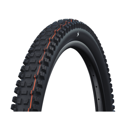 Schwalbe Albert Gravity Pro Evo TLR 29x2.60