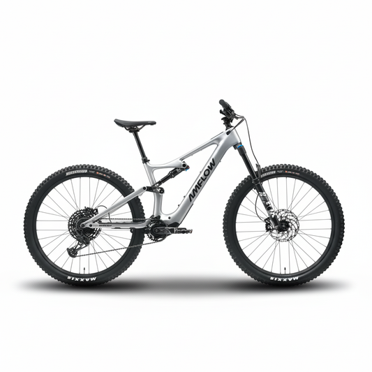 Amflow PL Carbon 800wh 2026