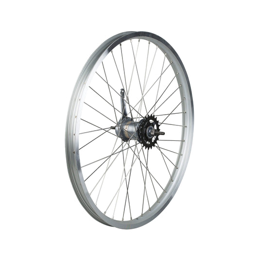 Electra Cruiser Lux 3i 24˝ Wheel – P&A from Fife Cycles