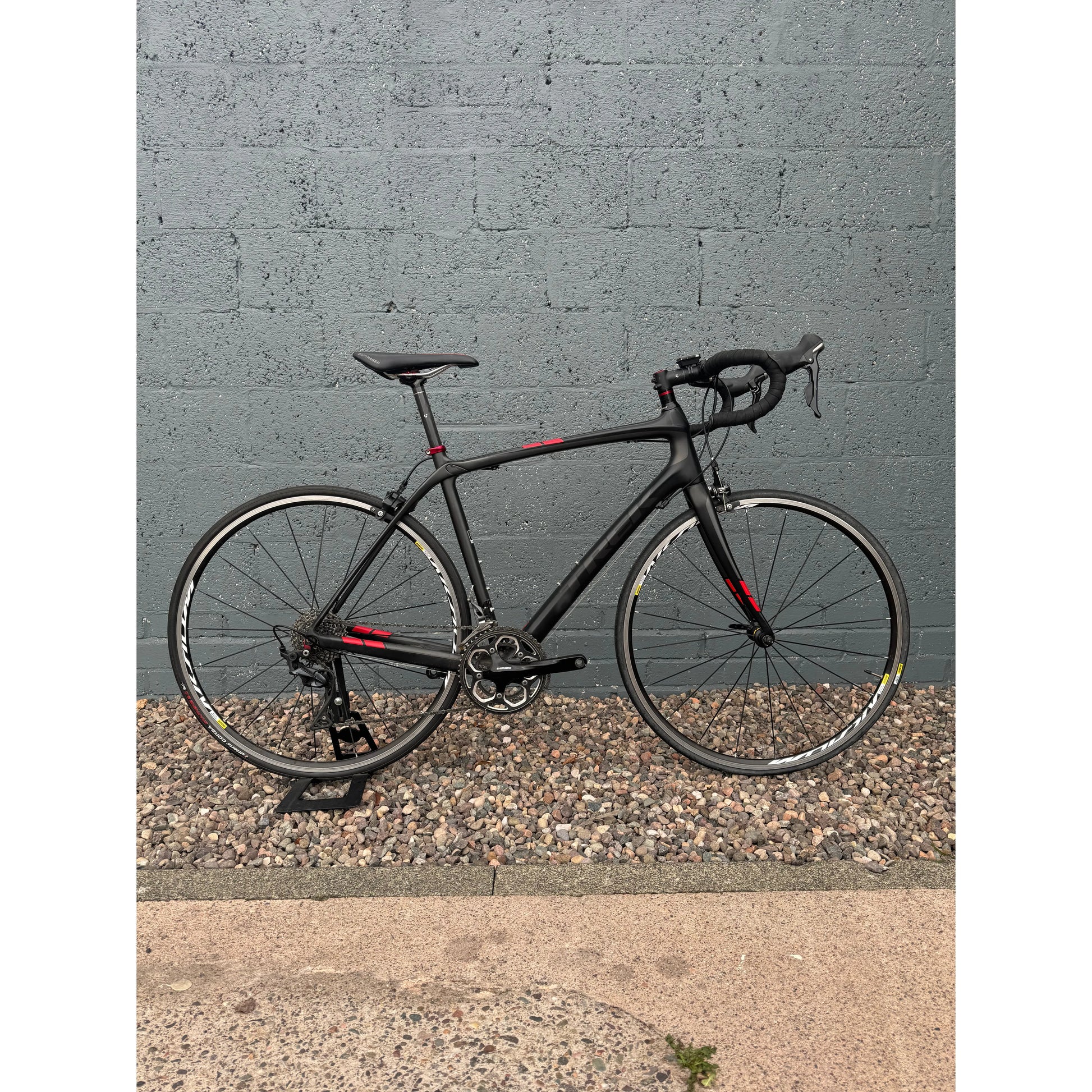 TREK DOMANE