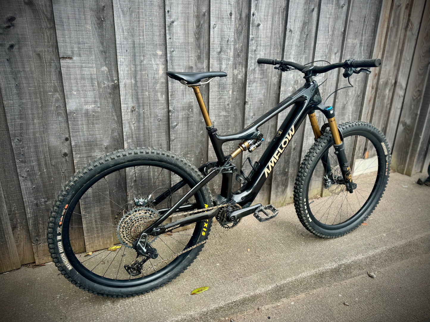 Amflow PL Pro Ex Demo – Large
