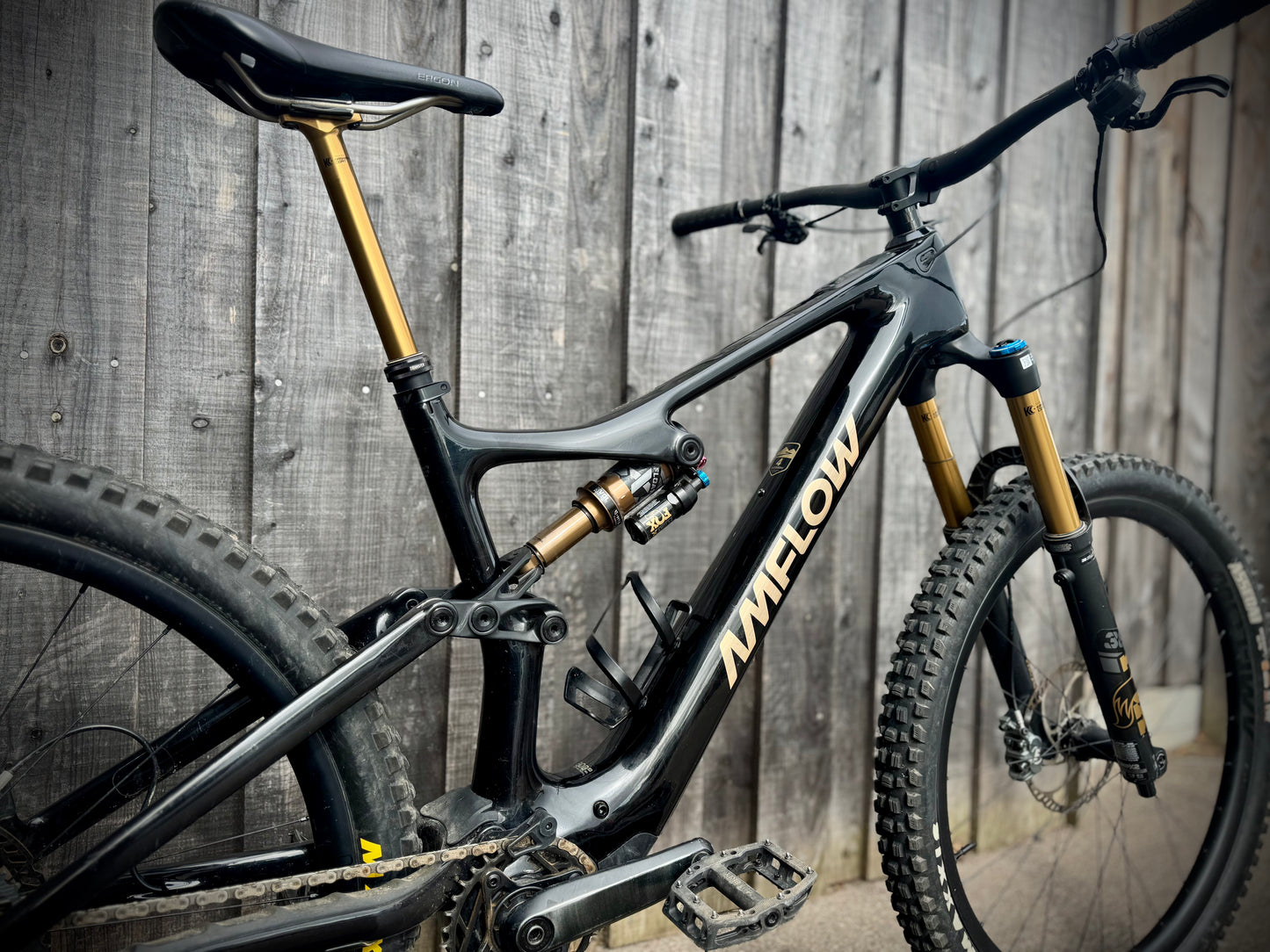 Amflow PL Pro Ex Demo – Large