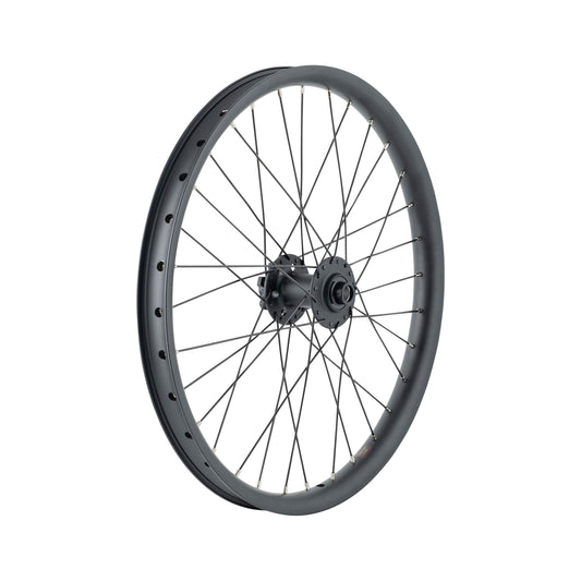 Trek Cargo Bike 6-Bolt Disc 20˝ Wheel – P&A from Fife Cycles