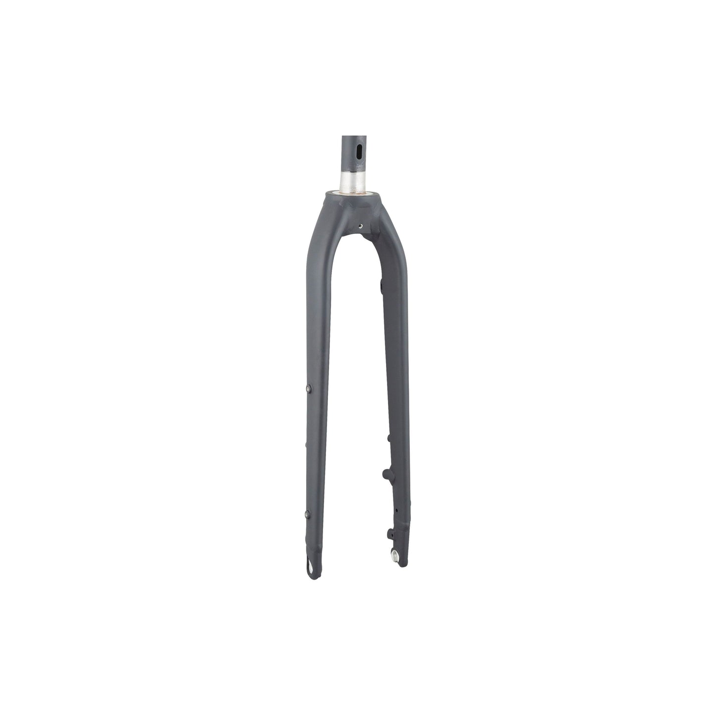 Trek-diamant 2023 Rubin Legere 700c Rigid Fork – P&A from Fife Cycles
