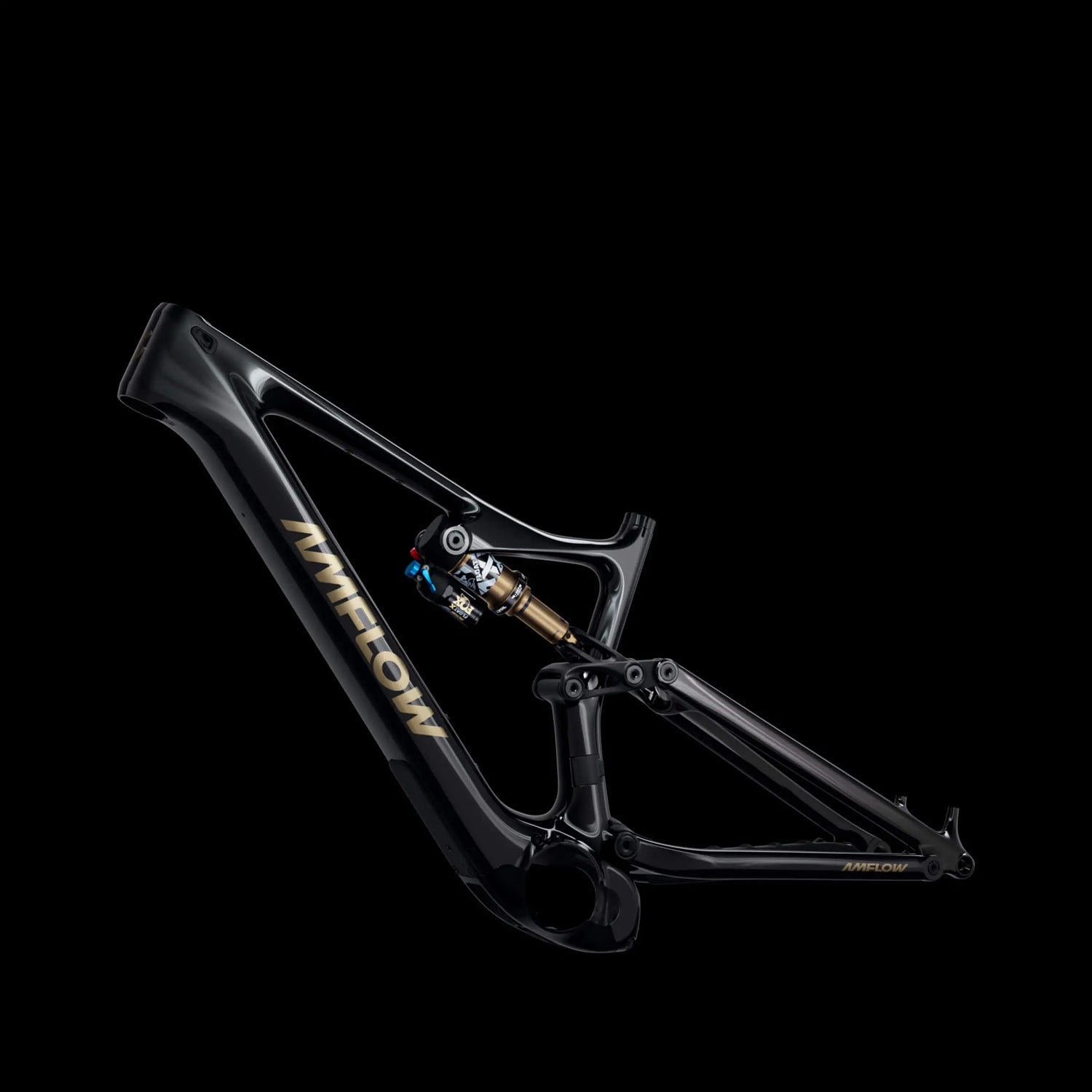 amflpw pl pro frame view. 