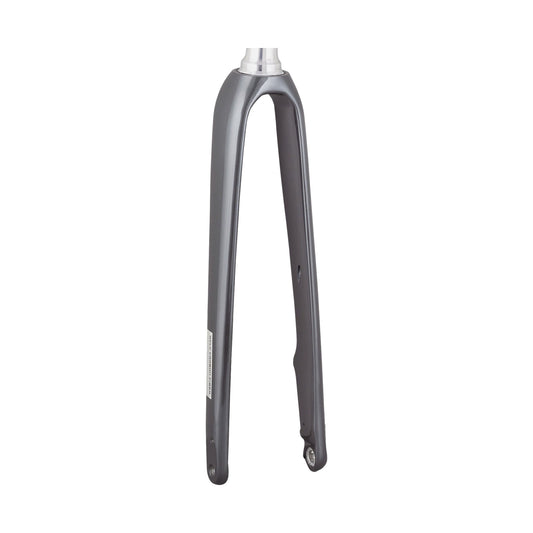 Trek 2021 Domane AL 5 700c Disc Fork
